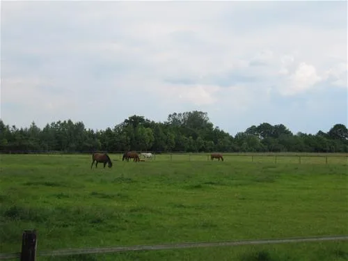 camping-de-biesterij-rijssen-hqbjh