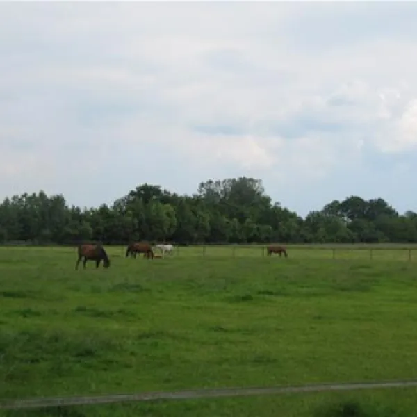 camping-de-biesterij-rijssen-hqbjh