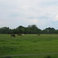 camping-de-biesterij-rijssen-hqbjh