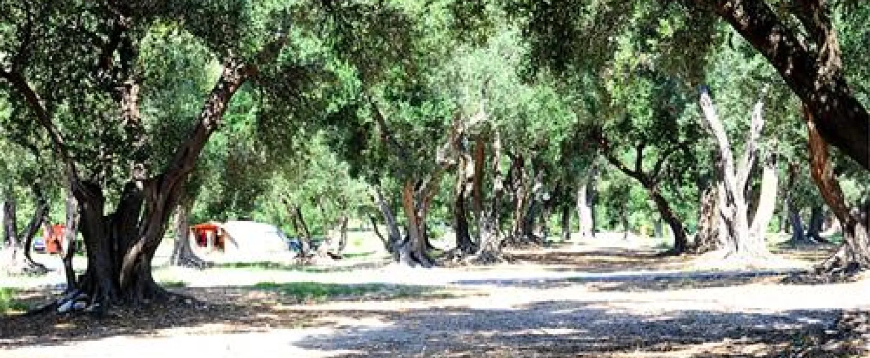 Camping Prapratno