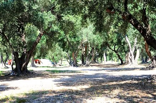 camping-prapratno-ston-8x0yp