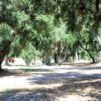 camping-prapratno-ston-8x0yp