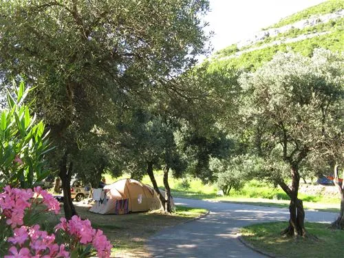 camping-prapratno-ston-tfacq