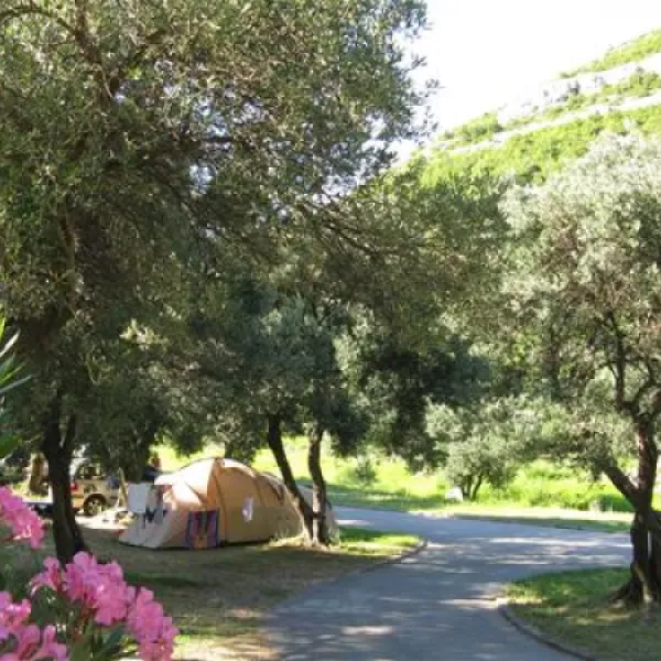 camping-prapratno-ston-tfacq