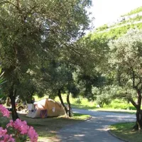 camping-prapratno-ston-tfacq