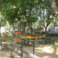 camping-la-girelle-collioure-edcob