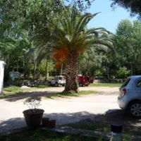 camping-peretto-les-roseaux-belvedere-campomoro-0jxt9