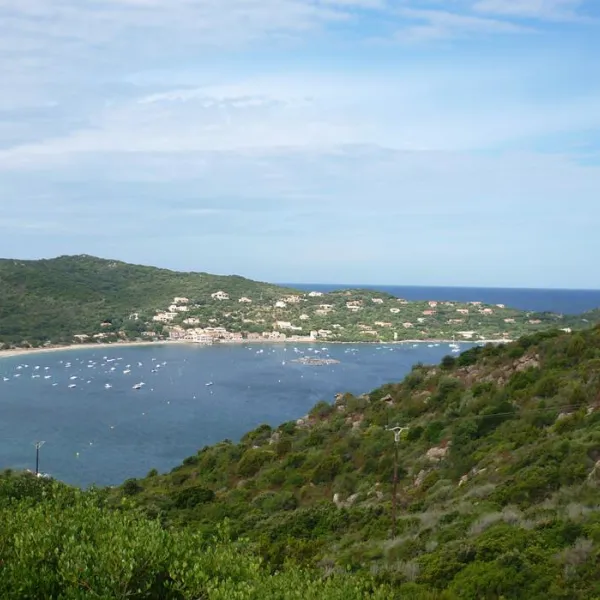 camping-peretto-les-roseaux-belvedere-campomoro-1q2iv