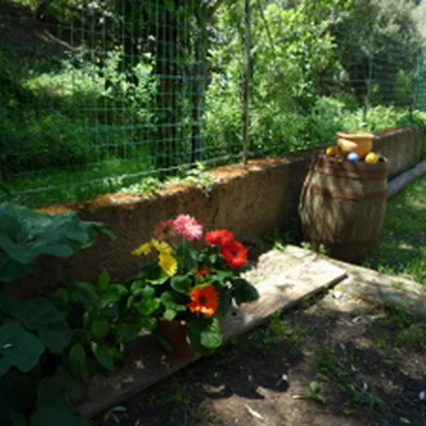 camping-peretto-les-roseaux-belvedere-campomoro-eborw