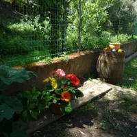 camping-peretto-les-roseaux-belvedere-campomoro-eborw