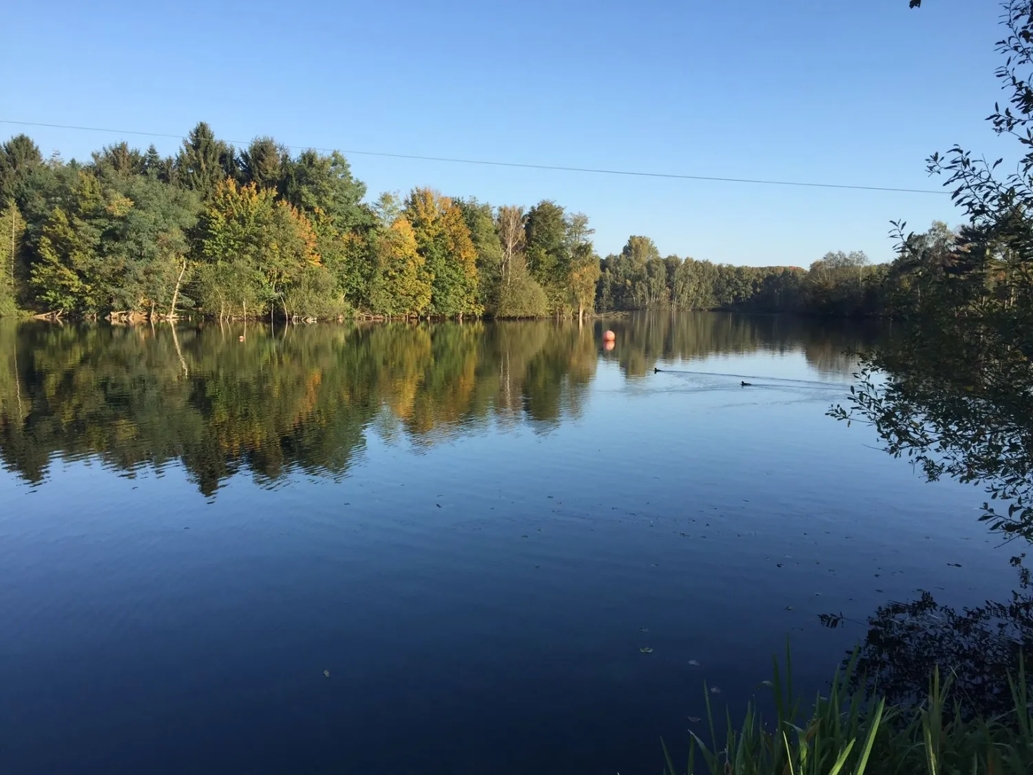 campingplatz-amici-lodges-wassenbergeffeld-clkuq