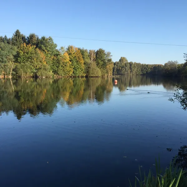 campingplatz-amici-lodges-wassenbergeffeld-clkuq