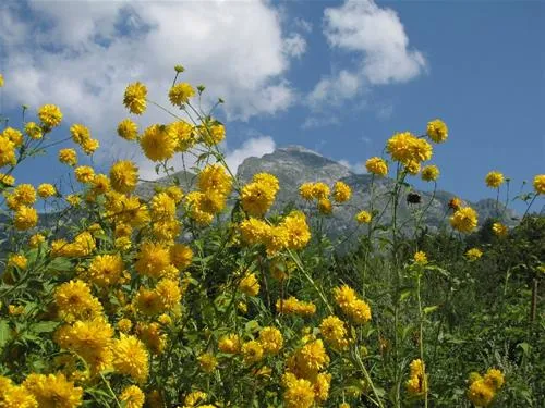 camp-liza-bovec-n62a8