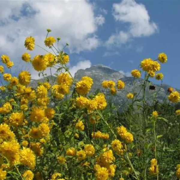 camp-liza-bovec-n62a8