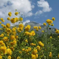 camp-liza-bovec-n62a8