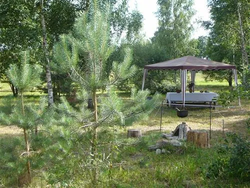 green-camping-plu-pagasts-6qfoz