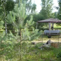 green-camping-plu-pagasts-6qfoz