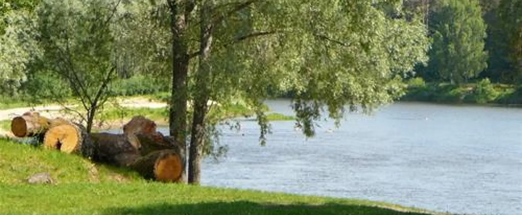 Green Camping