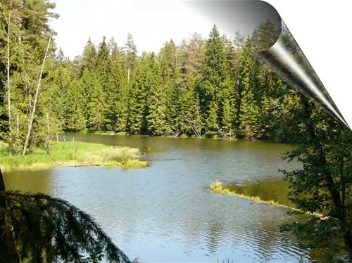 green-camping-plu-pagasts-ty0pq