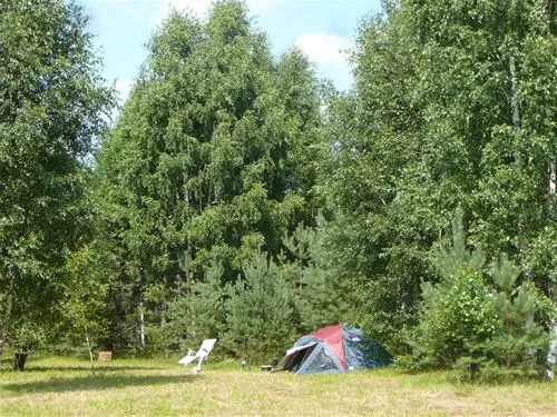 green-camping-plu-pagasts-udkqt