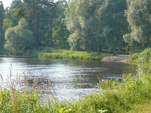 green-camping-plu-pagasts-ybm9u