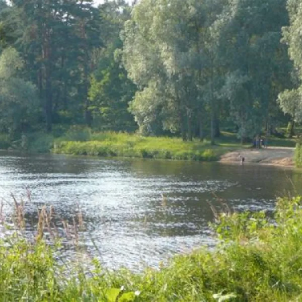 green-camping-plu-pagasts-ybm9u