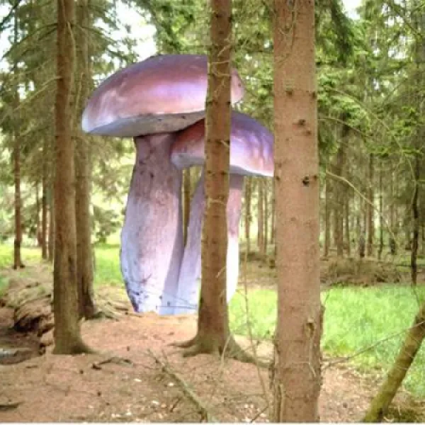 campingoase-waldsee-neu-poserin-ot-wooster-teerofen-9suxp