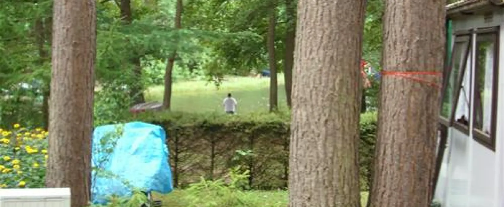 Campingoase Waldsee