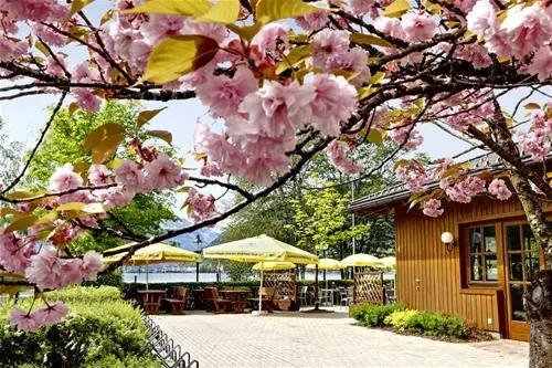 seecamp-zell-am-see-zell-am-see-ntdps