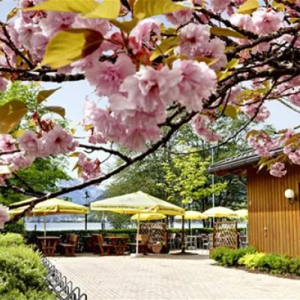 seecamp-zell-am-see-zell-am-see-ntdps