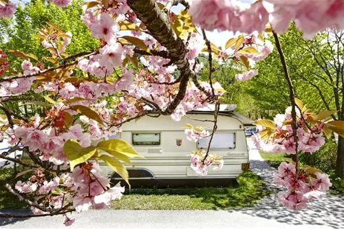 seecamp-zell-am-see-zell-am-see-wxv89