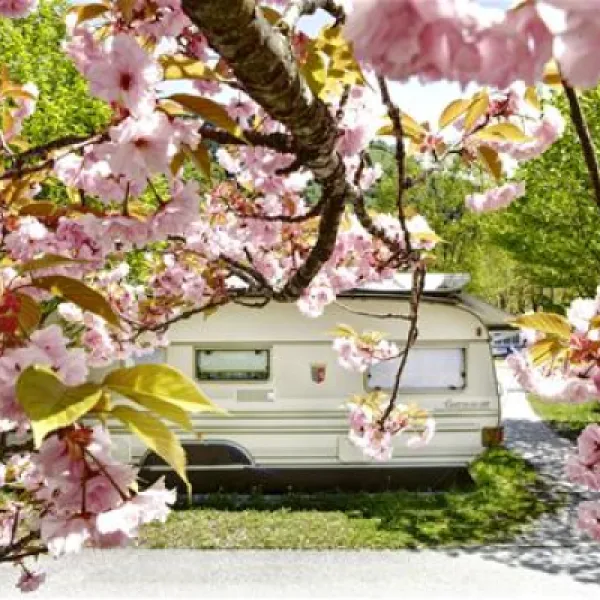seecamp-zell-am-see-zell-am-see-wxv89