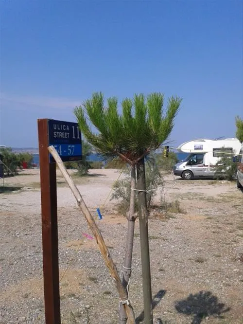 autocamp-pisak-seline-udo5p