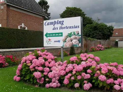 camping-hortensias-vraignes-en-vermandos-wqbto