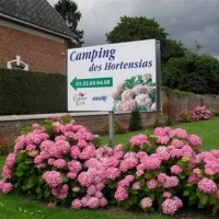 camping-hortensias-vraignes-en-vermandos-wqbto