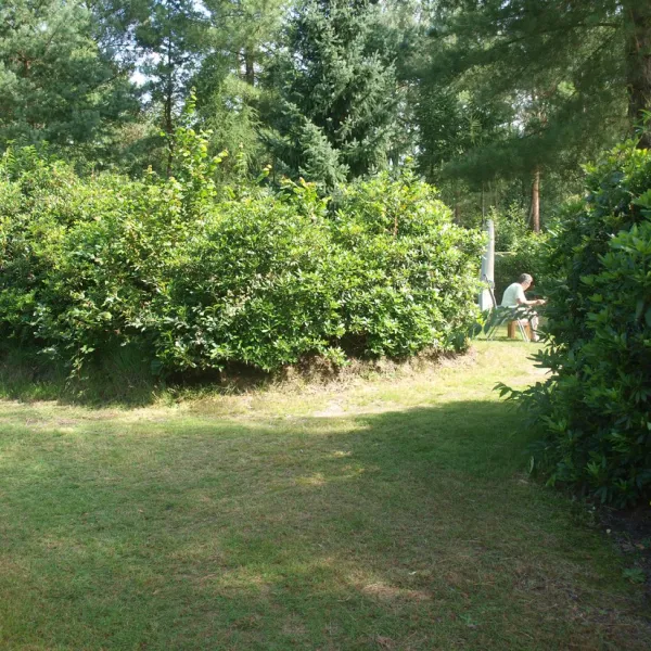 camping-athena-ossendrecht-hiafw