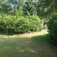 camping-athena-ossendrecht-hiafw