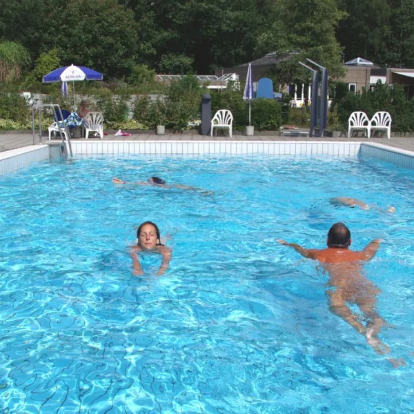 camping-athena-ossendrecht-kwyfc