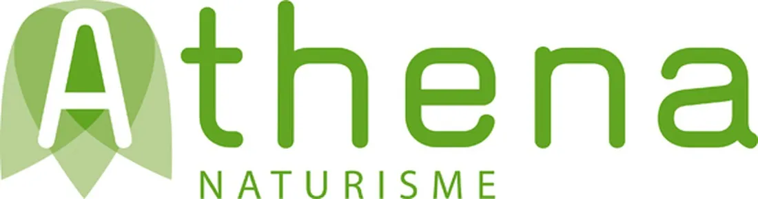 camping-athena-ossendrecht-xfu7f