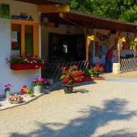 camping-les-ombrages-dallet-yrx3a