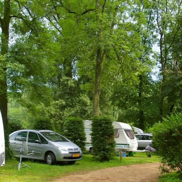 camping-les-ombrages-dallet-zpuao