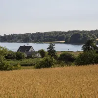 Kollund VIIII