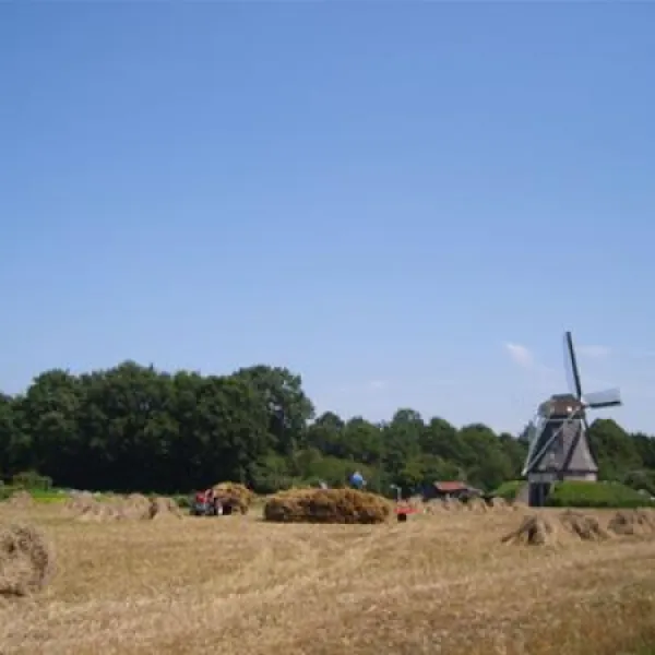 camping-de-knieplanden-zweeloo-0do9o