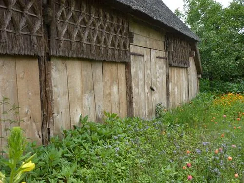 camping-de-knieplanden-zweeloo-elrxi