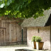camping-de-knieplanden-zweeloo-rl9j6