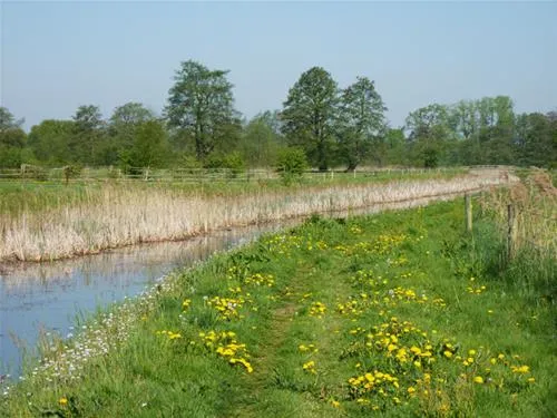 camping-de-knieplanden-zweeloo-wlvma