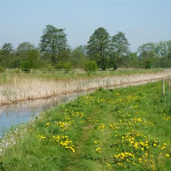 camping-de-knieplanden-zweeloo-wlvma