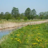 camping-de-knieplanden-zweeloo-wlvma