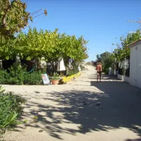 camping-azul-oliva-qcdgc