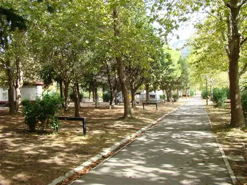 camping-kupari-mlini-3pt1r